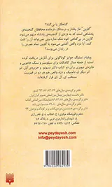 دزد واقعی